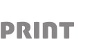 Lemonprint.pl - logo